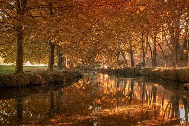 Guide d'achat des meilleurs accessoires de photographie